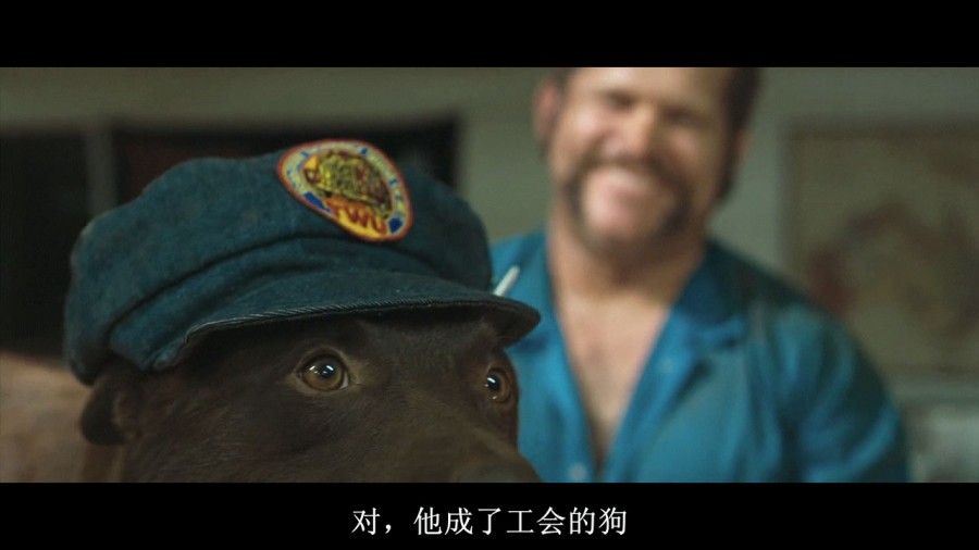 《红犬历险记》剧照-3