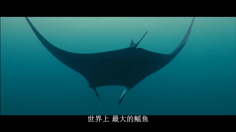 《海洋》剧照-2