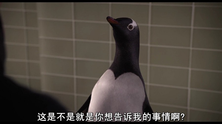《波普先生的企鹅》剧照-3