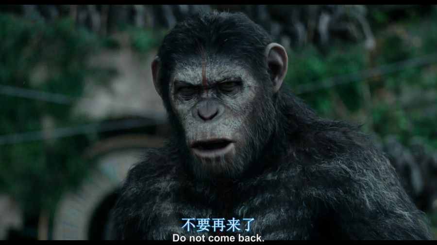 《猩球崛起2：黎明之战》剧照-4