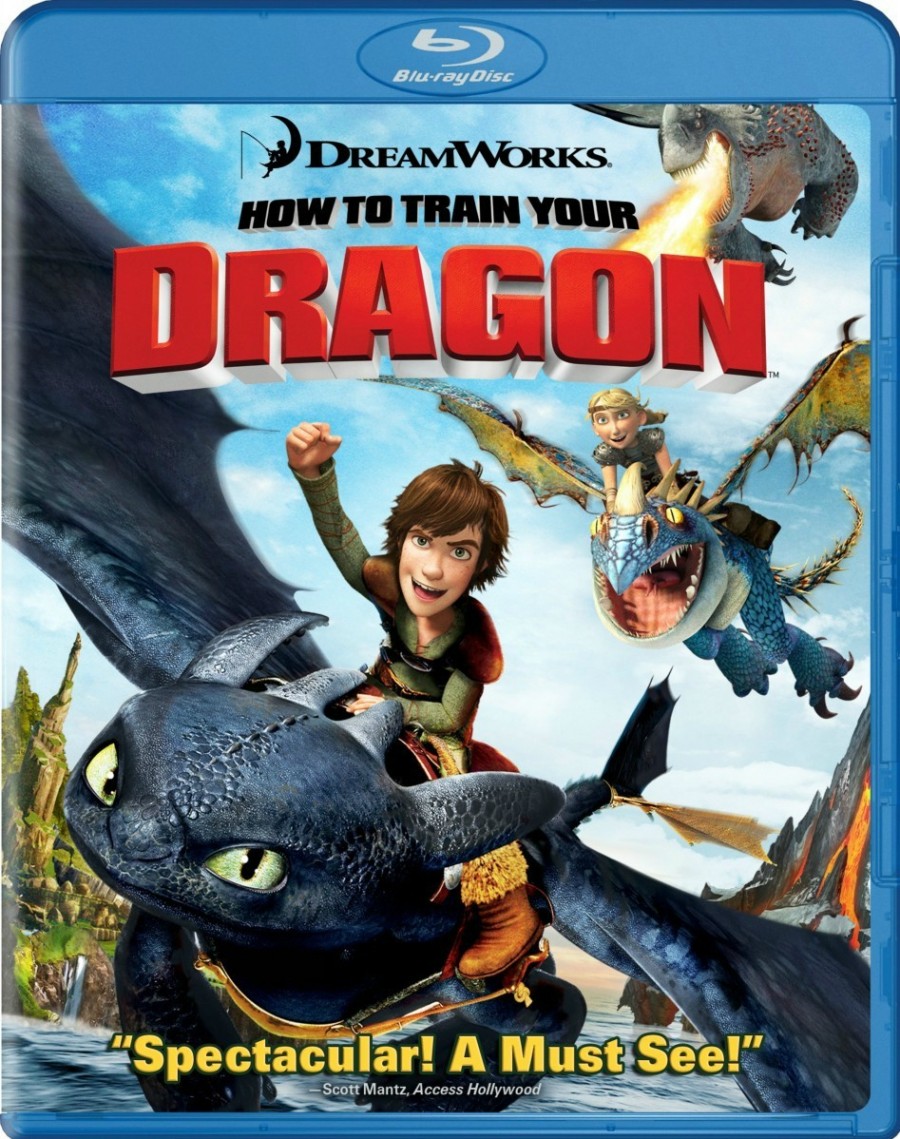[驯龙高手][3D版左右格式]2010.BluRay.1080p.DTS[国粤台英四语/3D中英字幕]