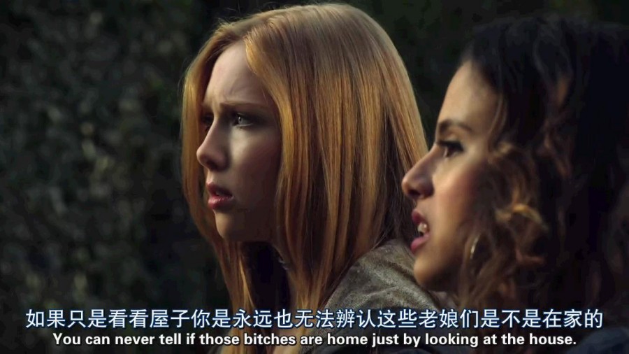 《黑森林：糖果屋和420女巫》剧照-9