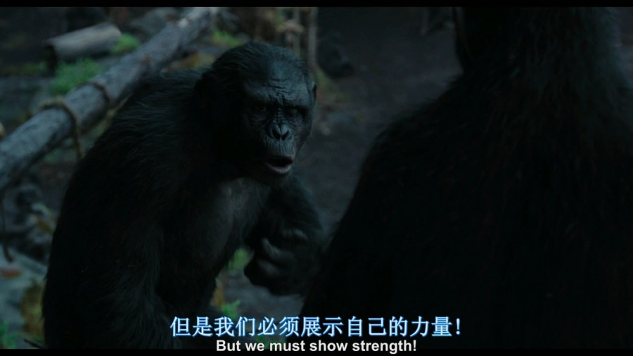 《猩球崛起2：黎明之战》剧照-2