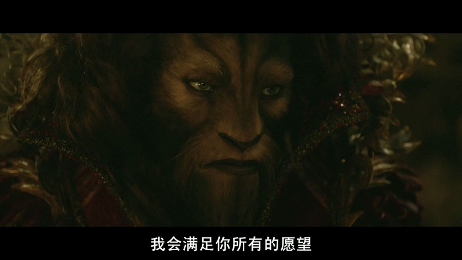 《美女与野兽》剧照-7