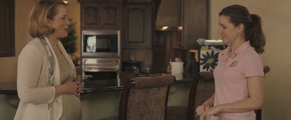 《阳光清洗》(Sunshine Cleaning)[BDRip]