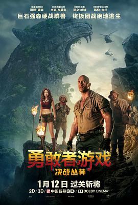 勇敢者游戏:决战丛林.Jumanji.Welcome.to.the.Jungle.2017.BD720P.X264.AAC.English&Mandarin.CHS-ENG.Mp4Ba