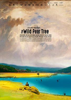[野梨树][The][Wild][Pear][Tree][2018][BD1080P][X264][AAC][Turkish][CHS-ENG]